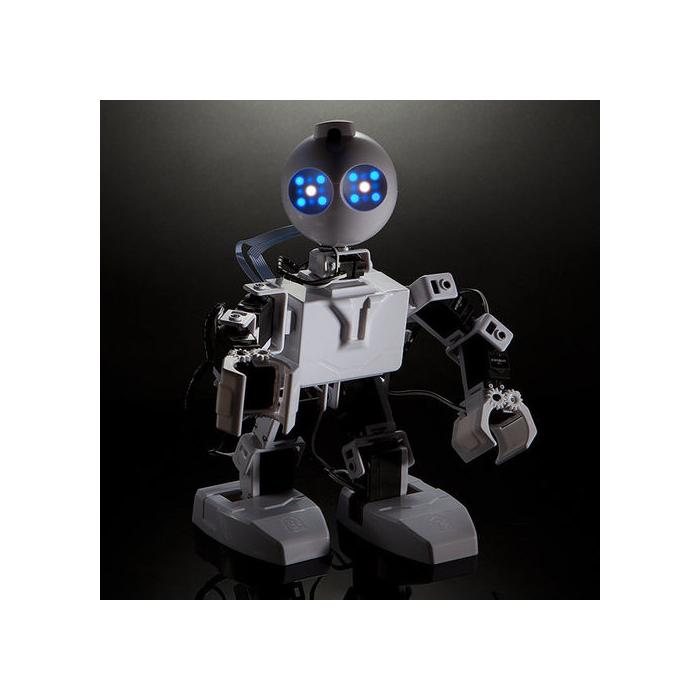 EZ Robot JD Humanoid Robot