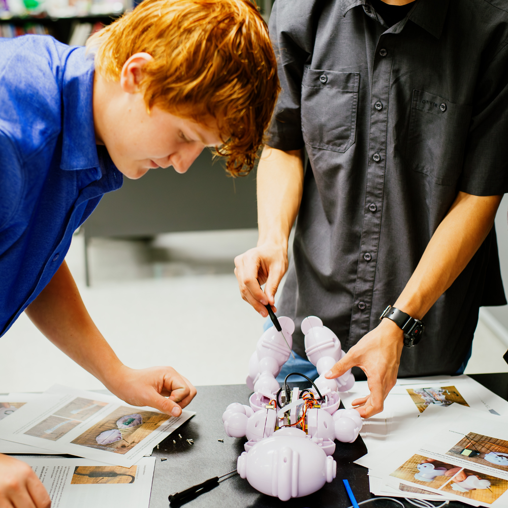 ABii Smart Robot Tutor Classroom to Career