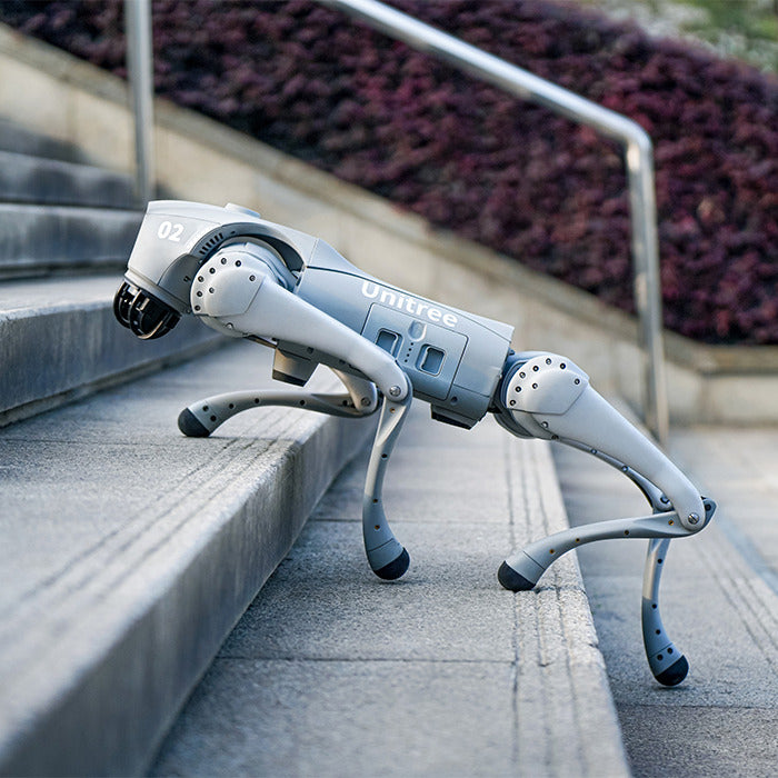 Go2 Quadruped Robot Dog