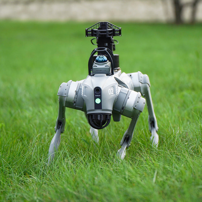 Go2 Quadruped Robot Dog