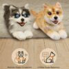 MetaDog: Your Interactive Robo-Puppy