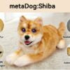 MetaDog: Your Interactive Robo-Puppy