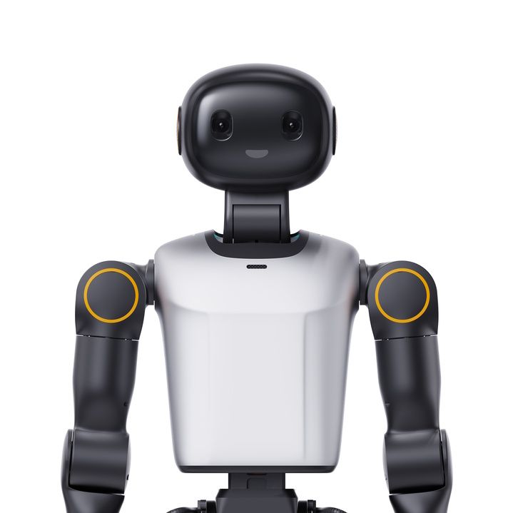 K1 Humanoid Robot