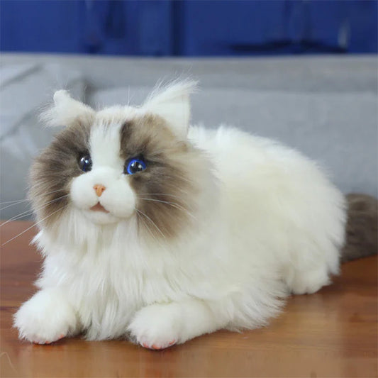 MetaCat: Your Interactive Robo-Cat