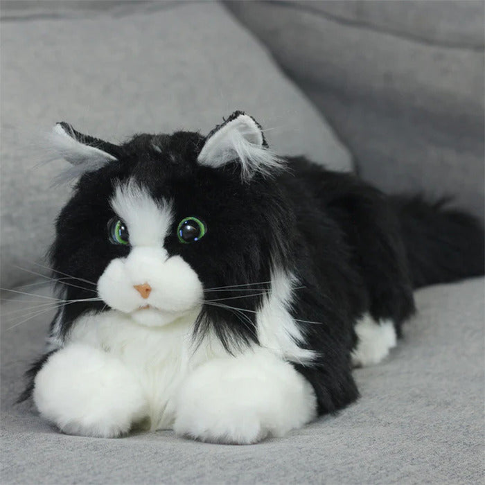 MetaCat: Your Interactive Robo-Cat