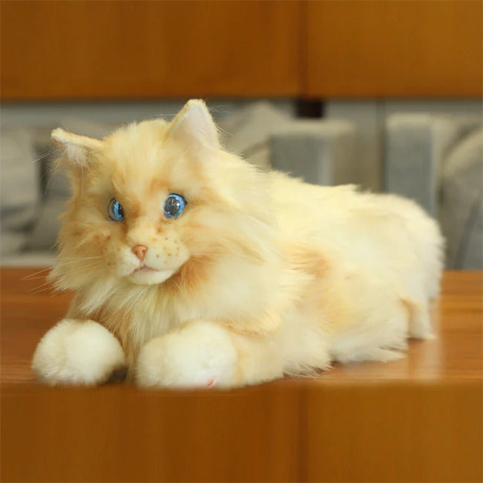 MetaCat: Your Interactive Robo-Cat