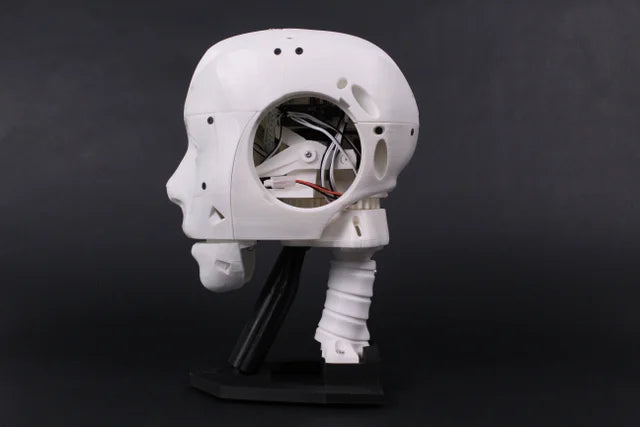 EZ-InMoov Robot Head (Hardware Kit)